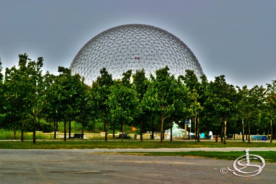 Day 071: A Ball in the Park