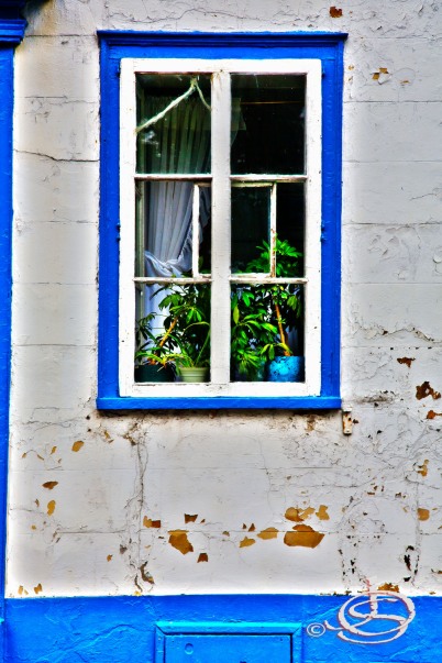 Day 176: Blue Window